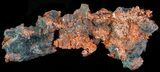 Natural, Native Copper Formation - Michigan #65257-1